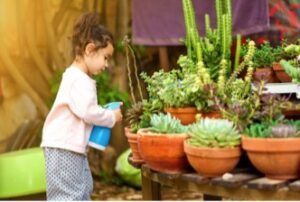 little girl spraying water onto potted succulent plants