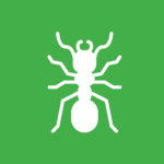 fire ant image on green background