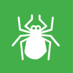 Vector graphic of a tick. 